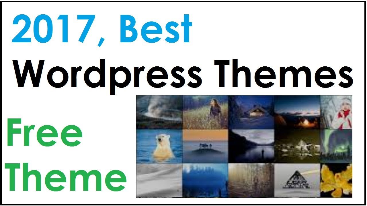 2017 Best Wordpress Themes, New