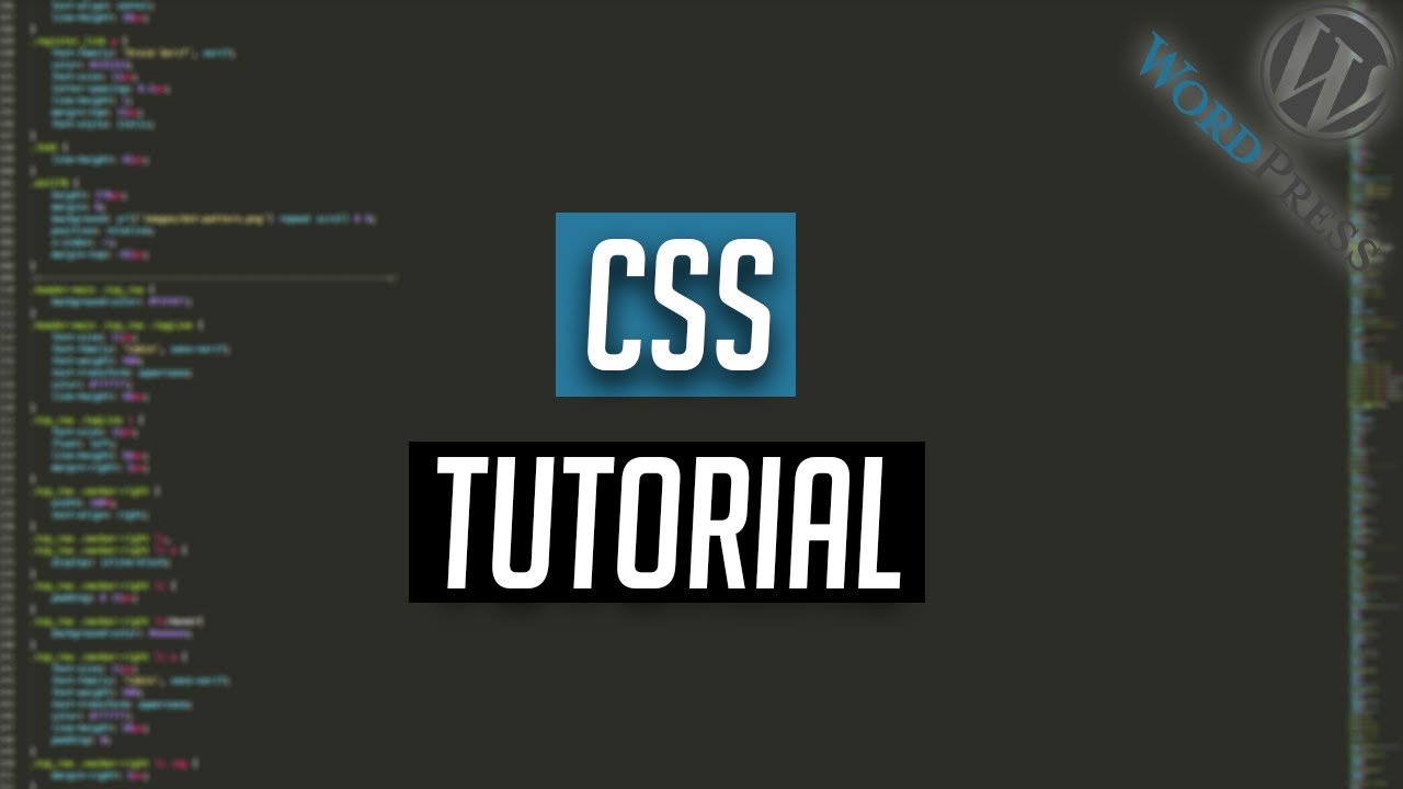 WordPress CSS Tutorial für Anfänger - Simple CSS Plugin
