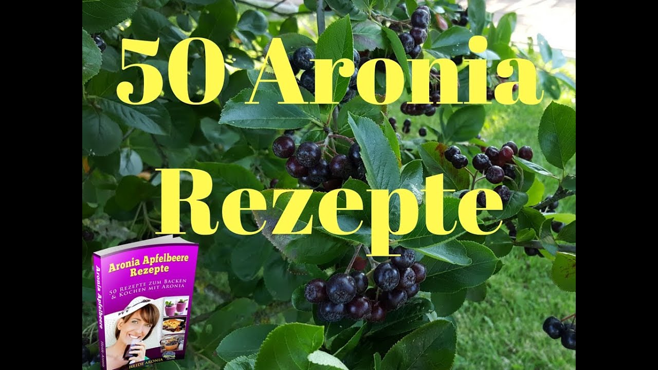 Aronia Rezepte Aronia Verarbeitung 50 Aronia Rezepte kostenlos für Sie