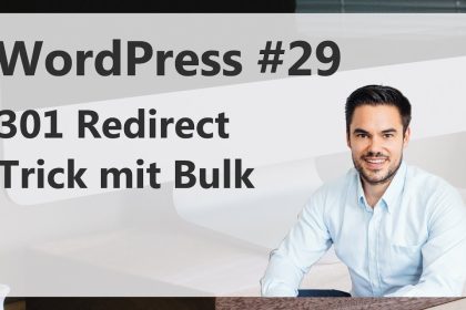 301-Weiterleitungen, Redirects im WordPress + mit Bulk Export / WordPress #29