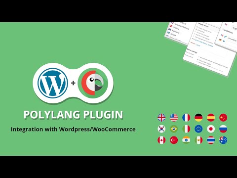 Polylang Plugin | Step by step integration of WordPress Polylang Plugin in your site -2020