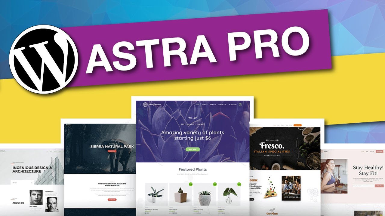 How to Install ASTRA PRO ADDON plugin WordPress Website: ASTRA WORDPRESS THEME Tutorial (2020)