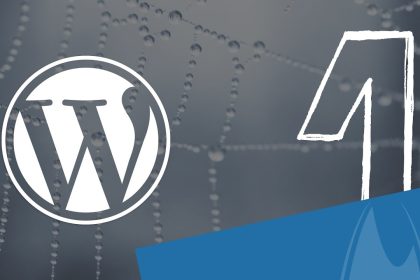 Wordpress Tutorial Teil 1 - Einführung und Installation