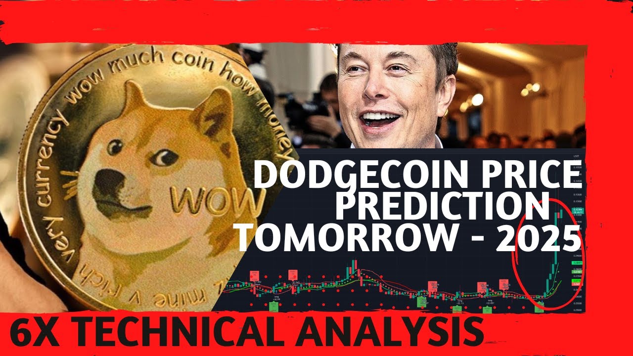 Dodgecoin Price Prediction - Elon Musk to pump to $1? Why Dodgecoin is going up?