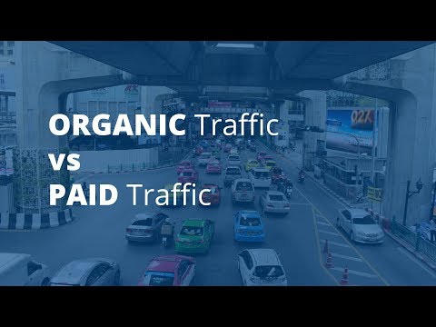 ORGANIC Traffic VS PAID Traffic