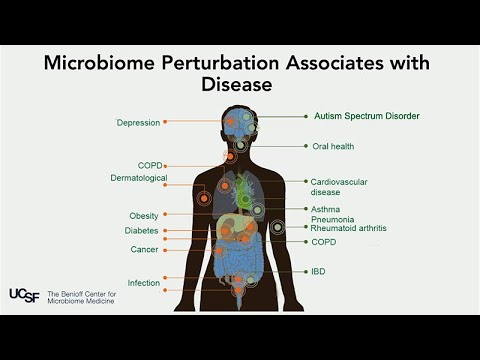 The Human Microbiome: A New Frontier in Health