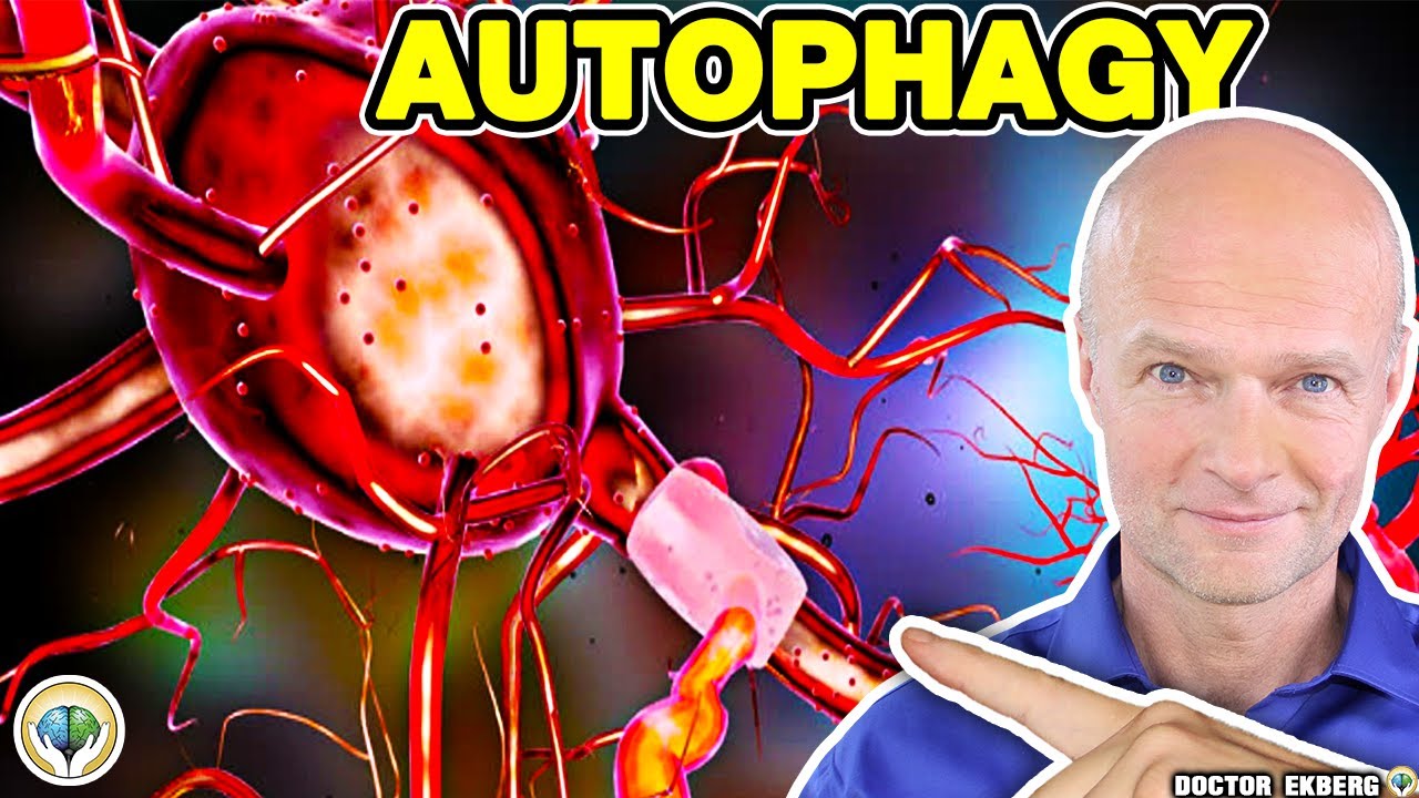 What Is Autophagy? 8 Amazing Benefits Of Fasting That Will Save Your Life